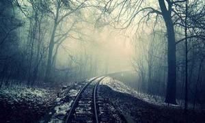 Let it be, 2026 – keep going