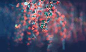 Let it be, 2026 – keep going