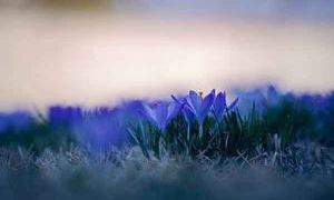 Let it be, 2026 – keep going