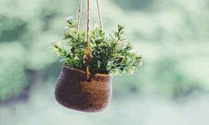 Let it be, 2026 – keep going