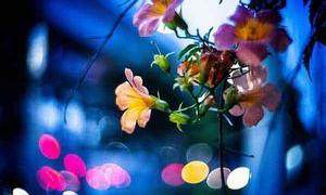 Let it be, 2026 – keep going