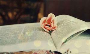 Let it be, 2026 – keep going