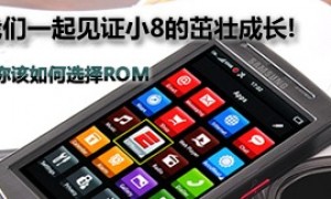 三星I8320如何选择合适的ROM刷机