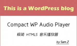 WordPress极简H5音乐播放器
