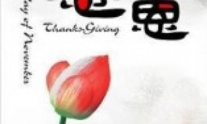 08感恩节, 感恩的心, 感谢有你