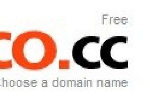 记得为co.cc之类的免费域名备案