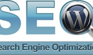 Platinum-SEO-Pack 中文版简体语言包下载