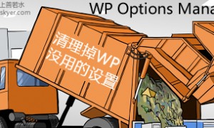 WP Options Manager 简体中文语言包(汉化版)