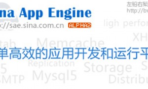 什么是SAE且如何使用SAE?