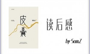 《皮囊》读后感 - 放下浮躁找回你的灵魂