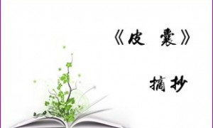 读《皮囊》摘录笔记
