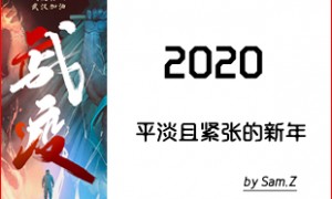 2020战疫下难忘的庚子鼠年