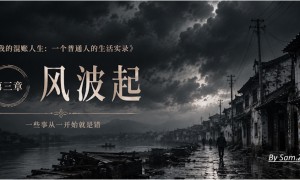 我的混账人生(三):风波起
