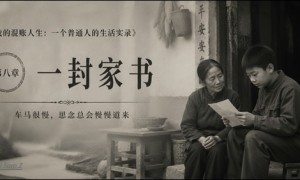 我的混账人生(八):一封家书
